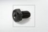 BPW 0334022020 Hollow Screw